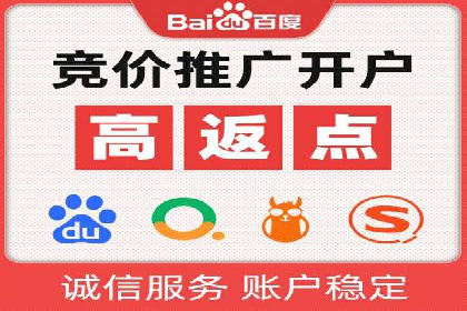 解析sem代运营公司经典案例：如何实现ROI最大化